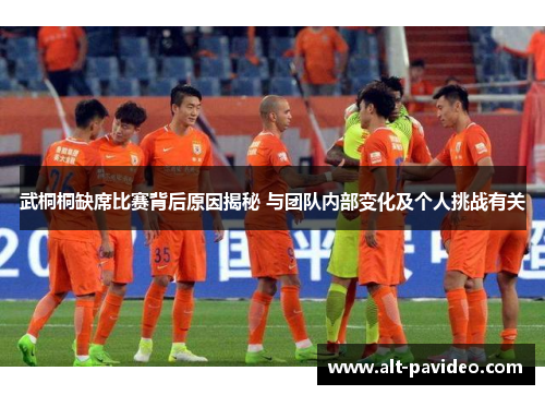 武桐桐缺席比赛背后原因揭秘 与团队内部变化及个人挑战有关