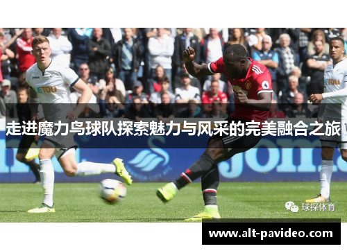 走进魔力鸟球队探索魅力与风采的完美融合之旅