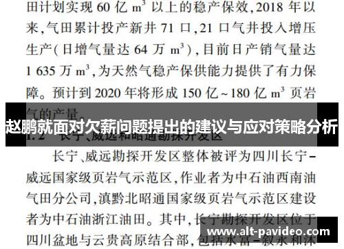 赵鹏就面对欠薪问题提出的建议与应对策略分析