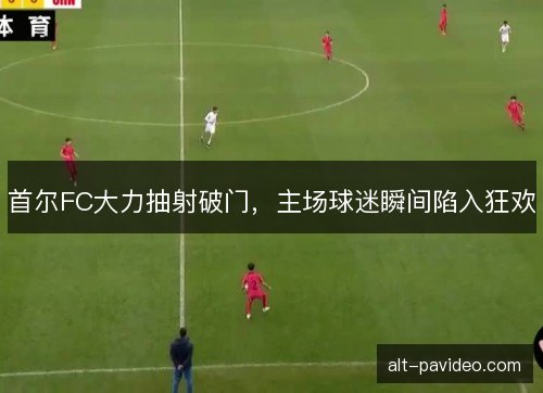 首尔FC大力抽射破门，主场球迷瞬间陷入狂欢